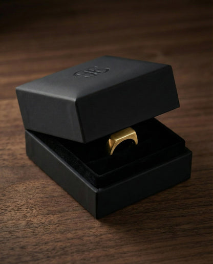 The Vault Signet - Klerona & Co